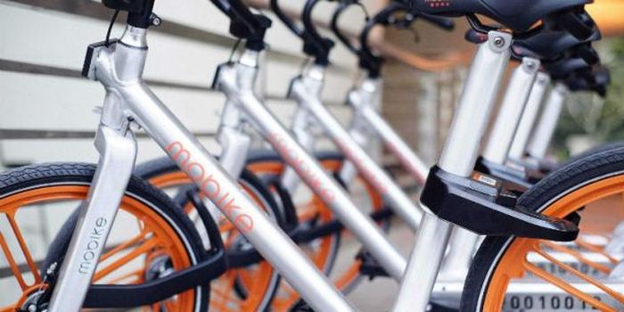 Ħ������������Ļ���ɶ��Ἰ��ȫƱͨ���鰸