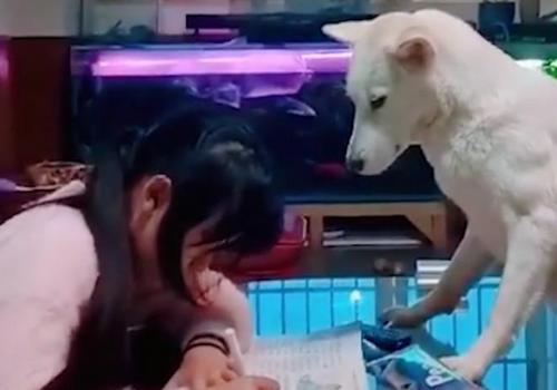 ���������ලŮ������ҵ���ѣ�����Ϊ����Ҳ�������