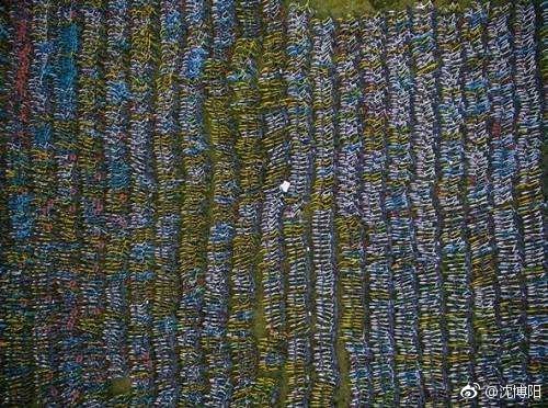 �������������չ�Ħ�ݡ�:�������� ��ʼ�ŶӺ�ţ��