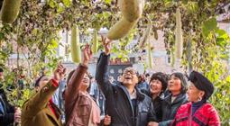 �̹�԰���ǿ���ʺ�ʱ���ݣ��㿴��γ�����������䣿