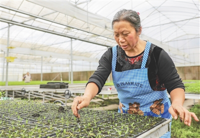 ����ɽ֮ʯ ������֮��