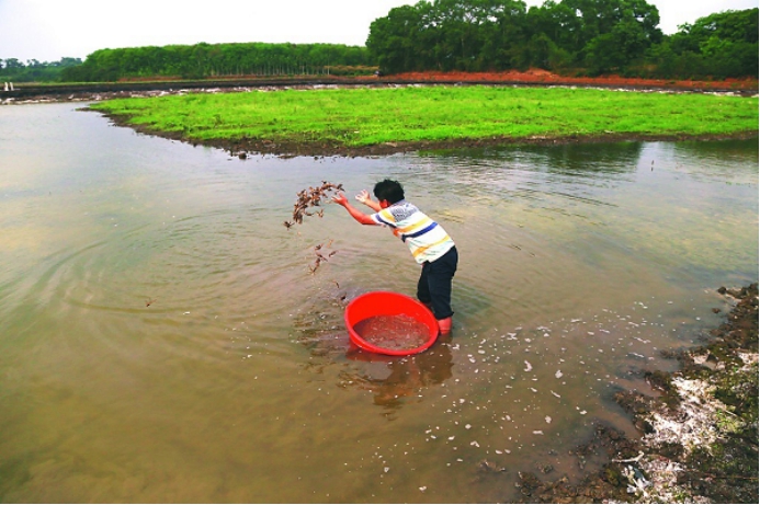 ���������з���á������������ ������ƶ��������